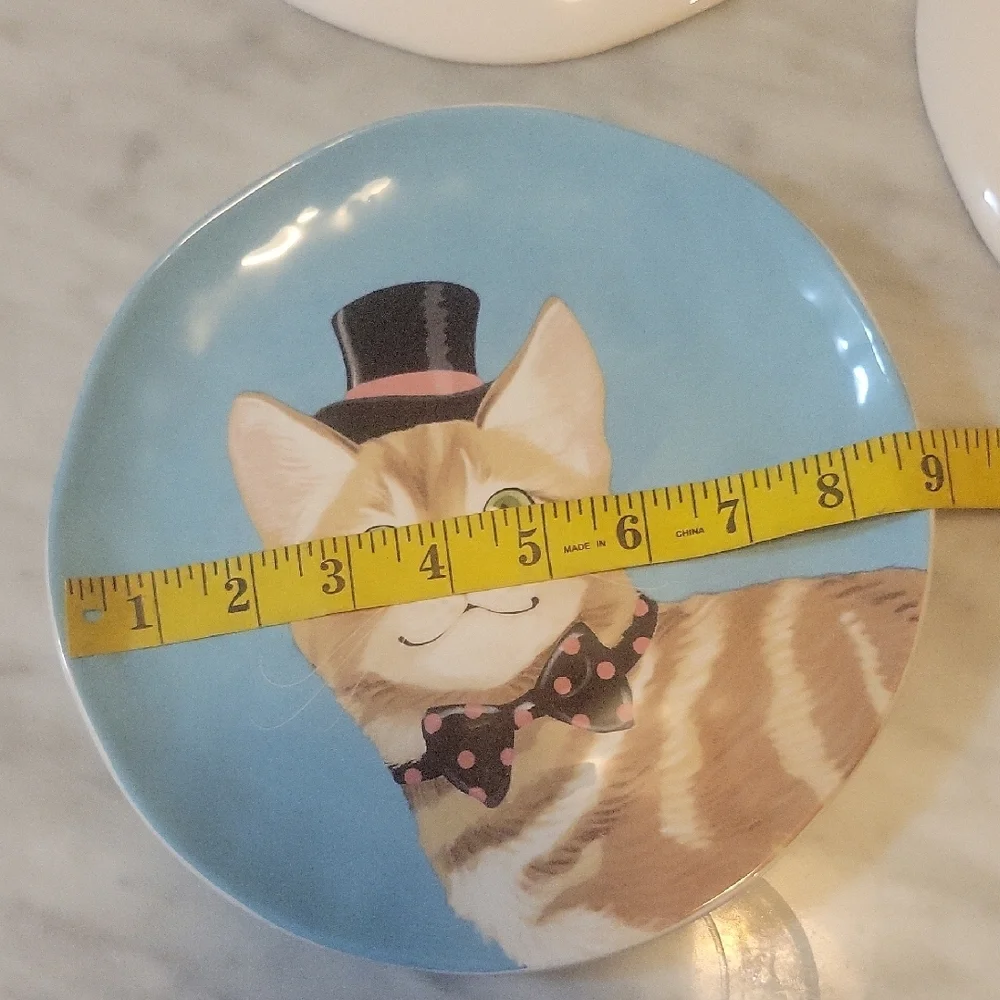 Pier 1 Set Of 3 Ironstone Party Cat Salad Plates
